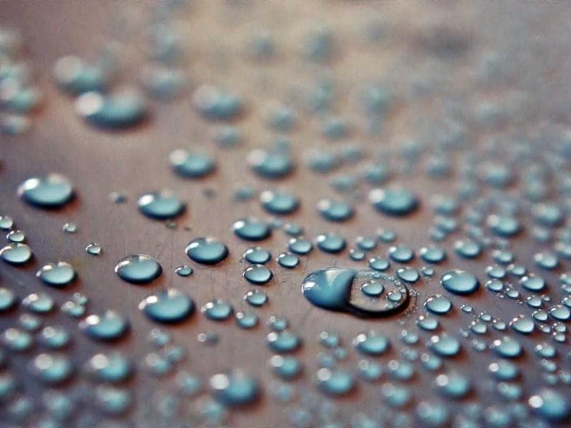 3rd Place — Gaiafest25