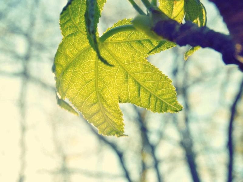 Tech Solution of the Year