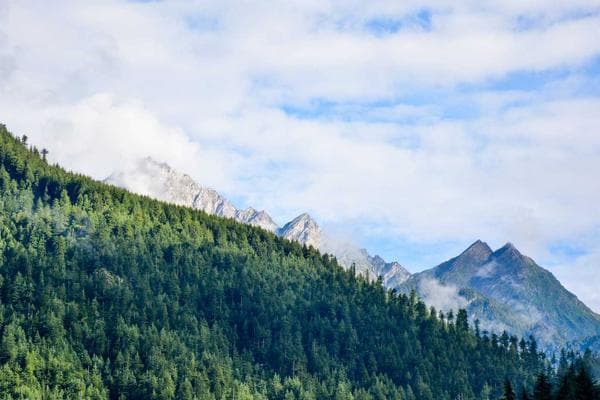 Ripple Africa photo 4